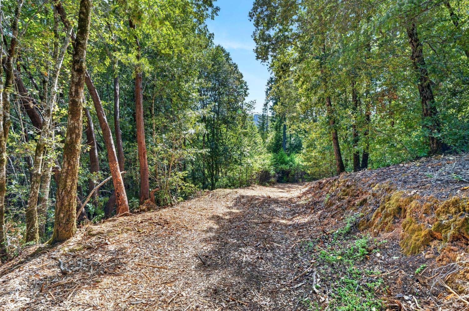 0 Maple Basin Road Philo, CA 95466 - Photo 5 of 16 a view of a backyard of the house