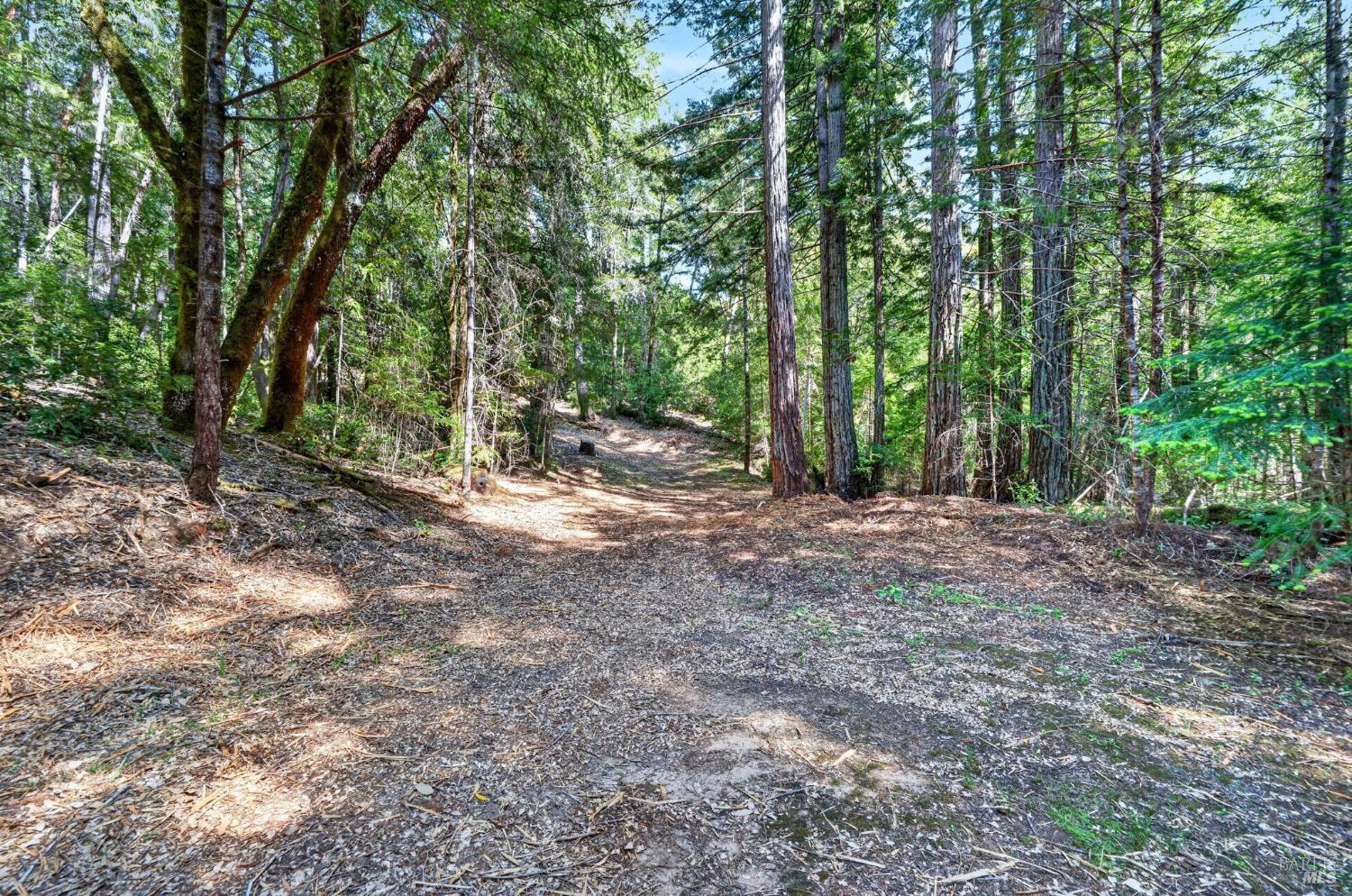 0 Maple Basin Road Philo, CA 95466 - Photo 10 of 16 a view of outdoor space and trees