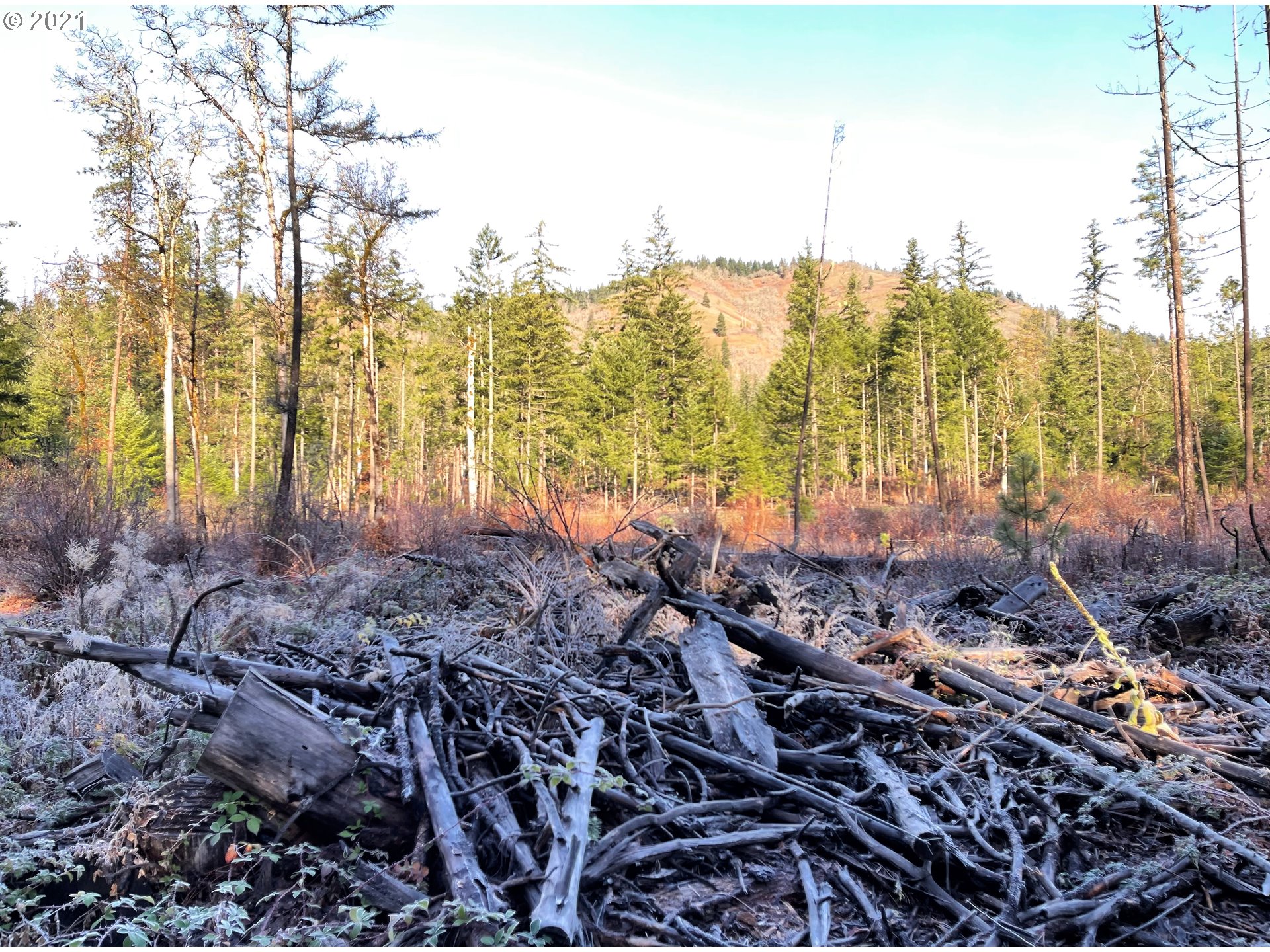 Rattlesnake Road, Unit A White Salmon, WA 98672 - Photo 11 of 19 Gallery Image 11