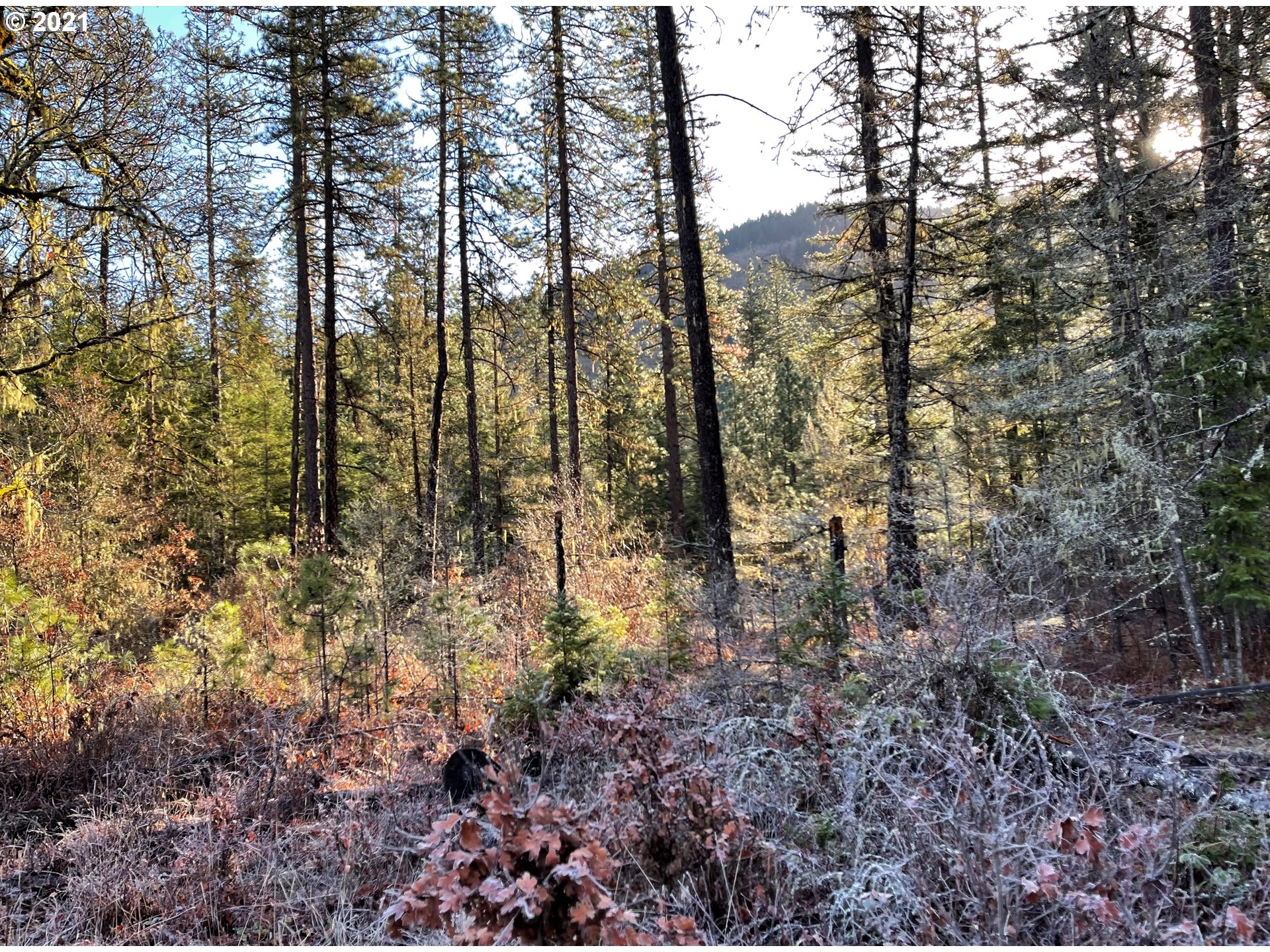 Rattlesnake Road, Unit A White Salmon, WA 98672 - Photo 12 of 19 Gallery Image 12