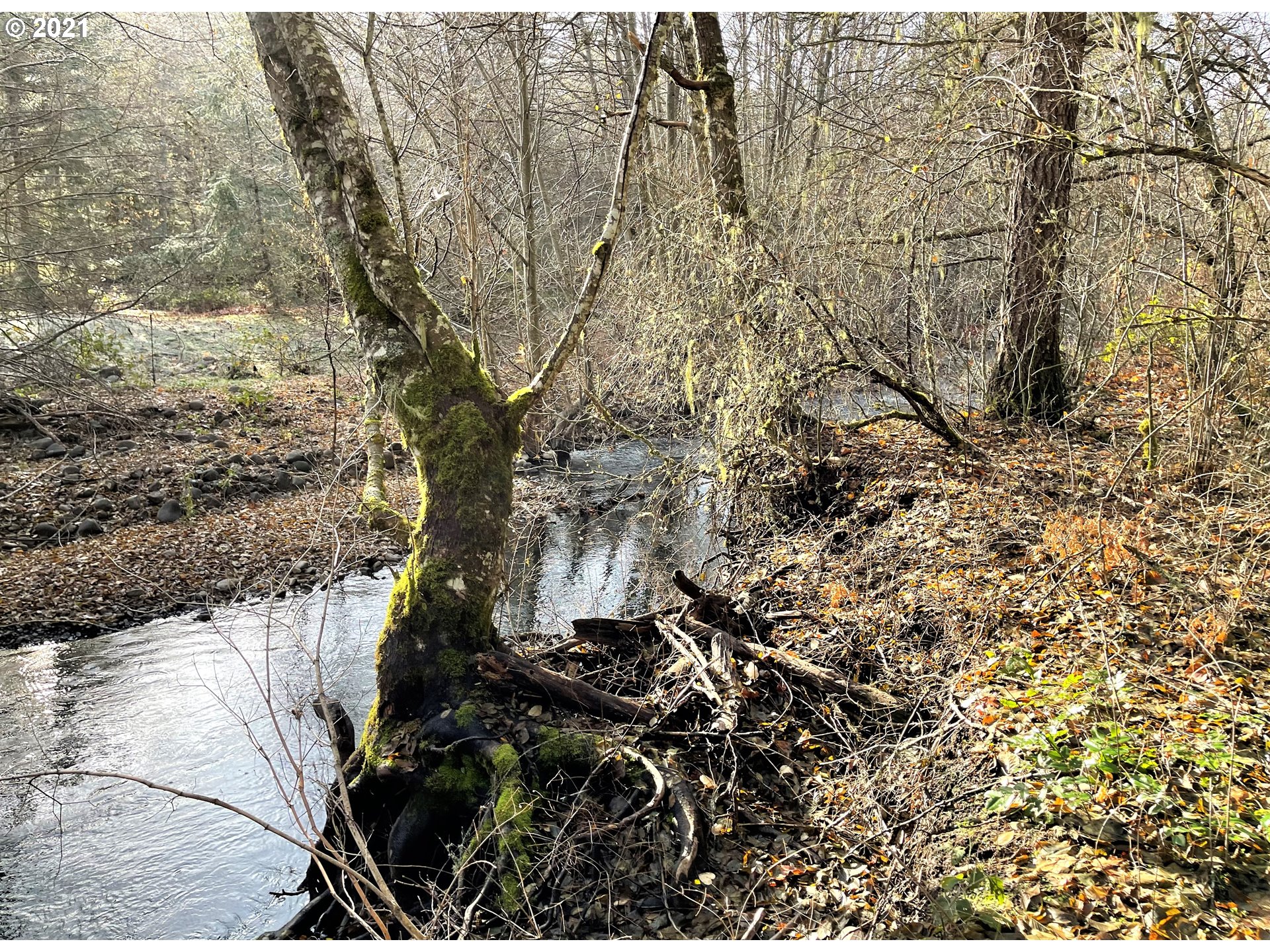 Rattlesnake Road, Unit A White Salmon, WA 98672 - Photo 15 of 19 Gallery Image 15