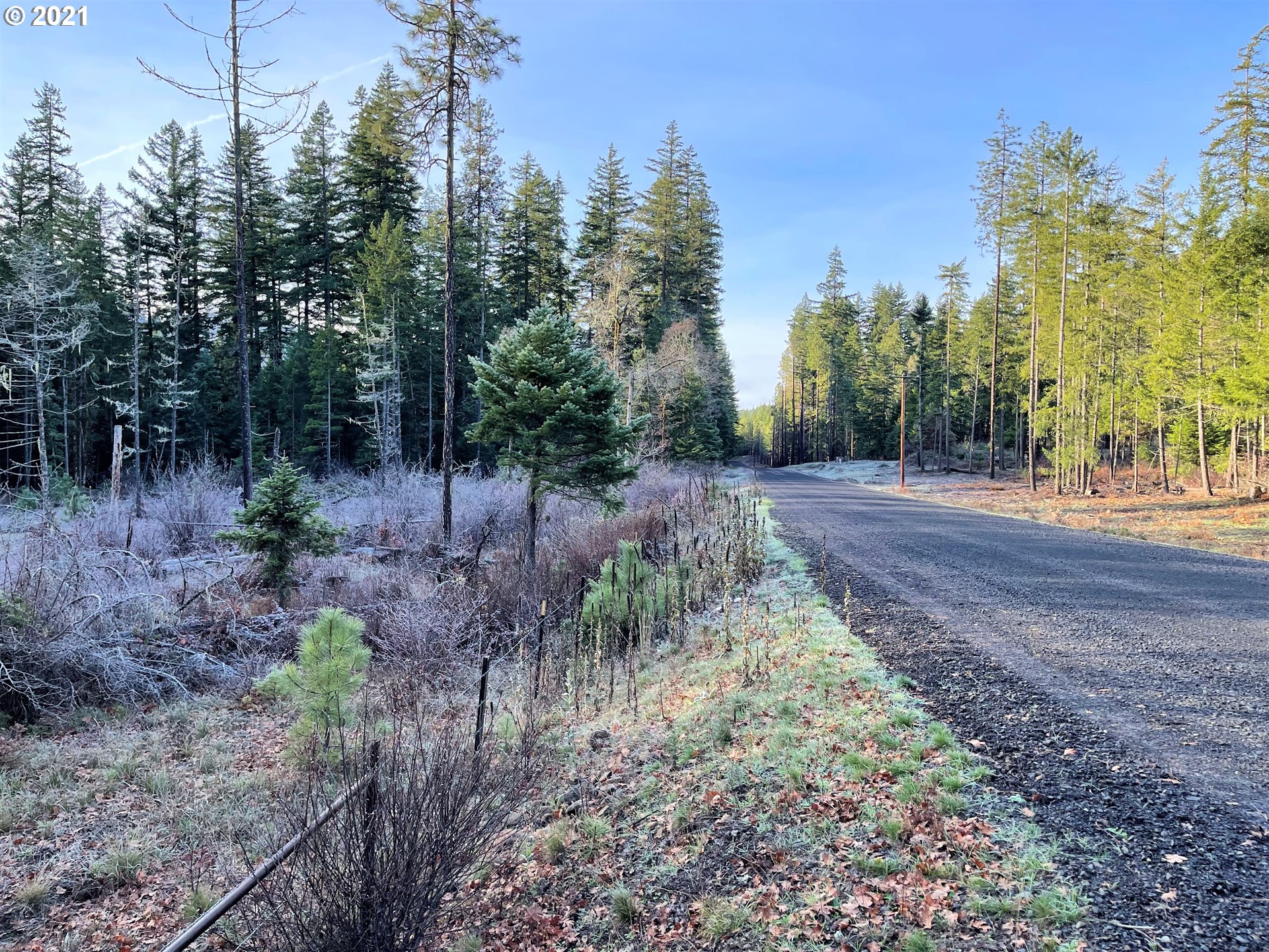 Rattlesnake Road, Unit A White Salmon, WA 98672 - Photo 8 of 19 Gallery Image 8