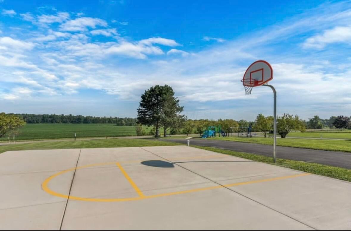 1330 Hanover Road, Unit 139 Delaware, OH 43015 - Photo 21 of 21 CLMH Basketball