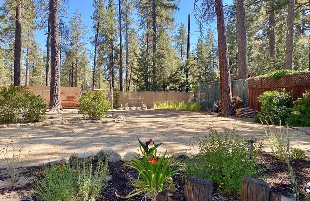a view of a yard with plants and trees