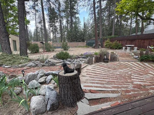 a view of outdoor space yard and patio