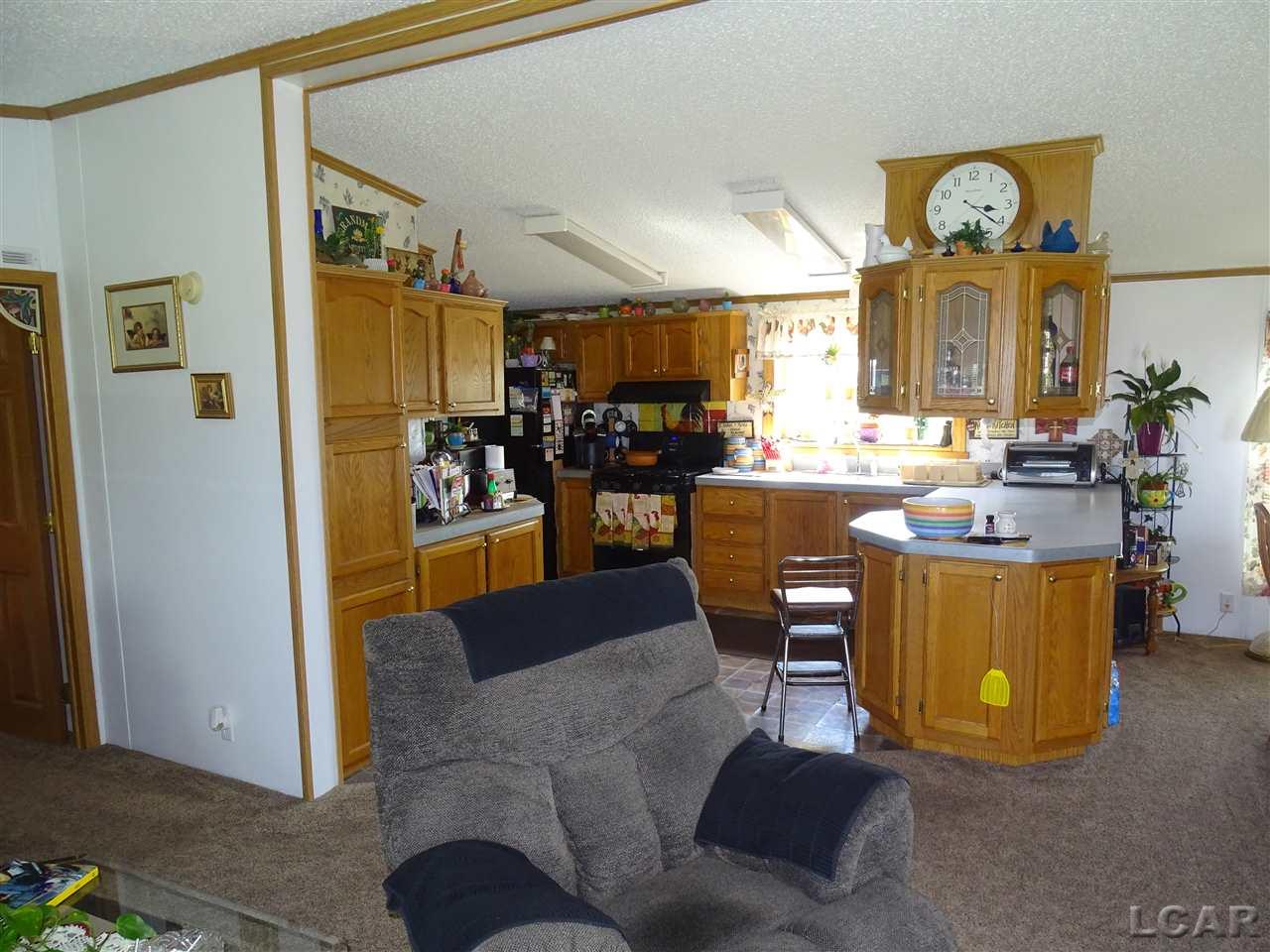 10475 Plank Road Clayton, MI 49235 - Photo 9 of 29 31376983-8.JPG