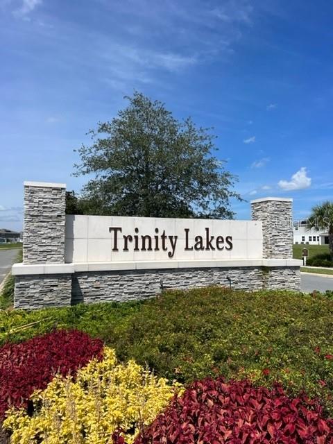 7276 Rolling Leaf Road Groveland, FL 34736 - Photo 2 of 11