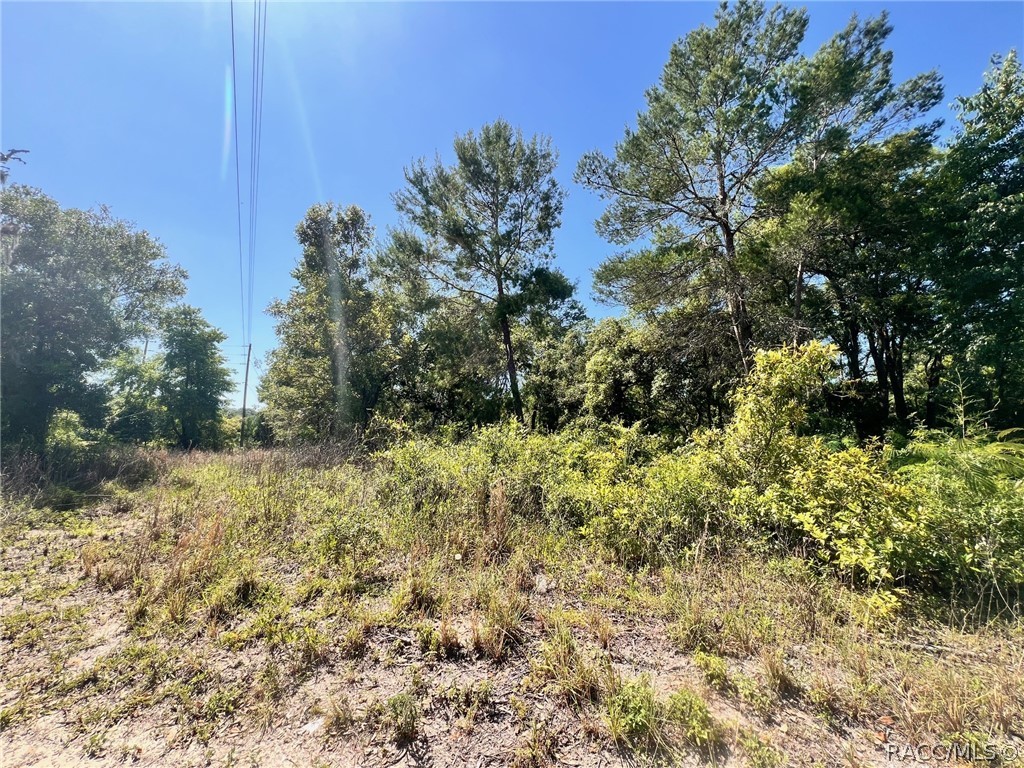 4956 East Posselt Drive Hernando, FL 34442 - Photo 4 of 10