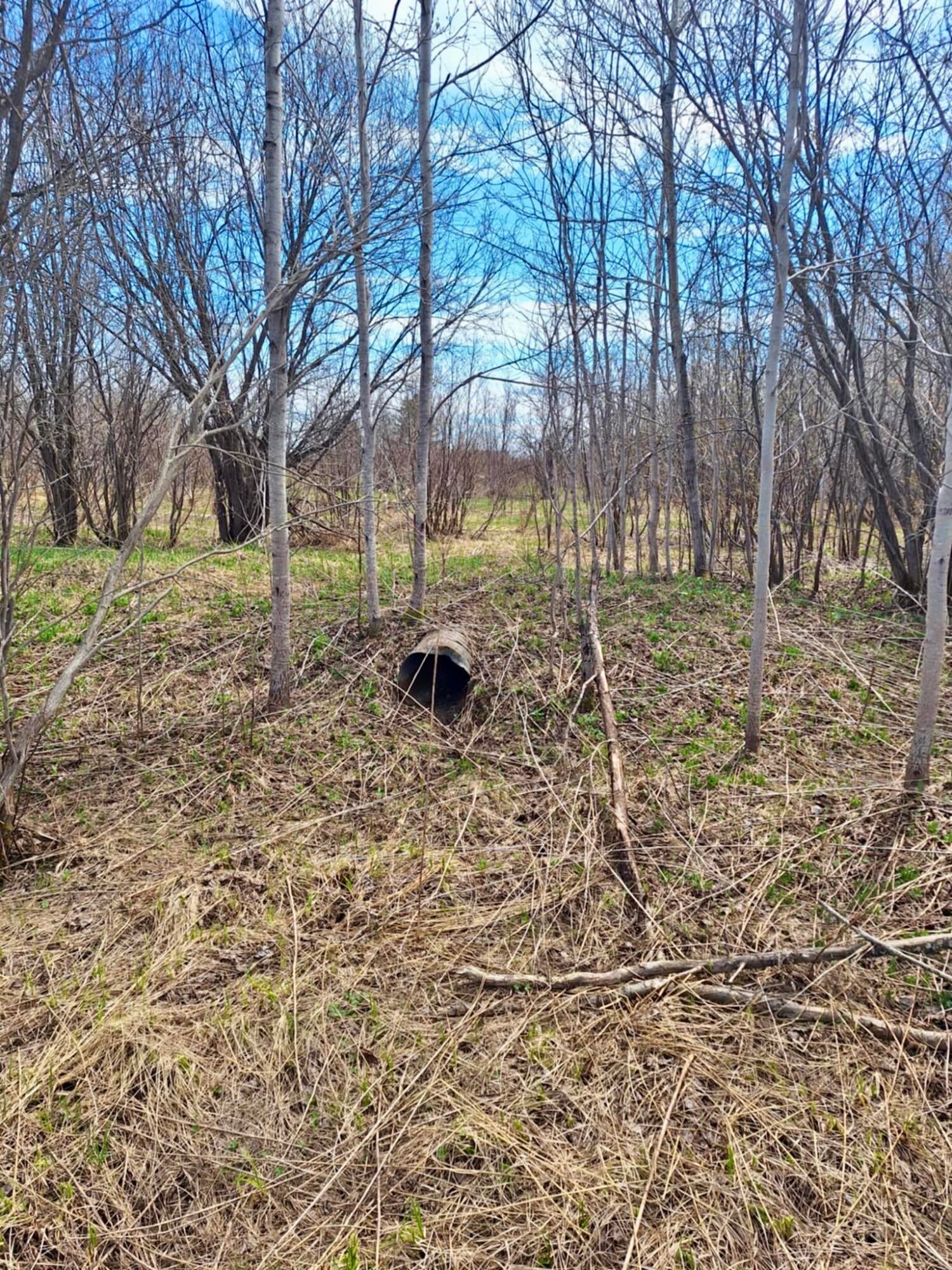 Tbd South Piche Side Road Brimley, MI 49715 - Photo 8 of 11 Gallery Image 8
