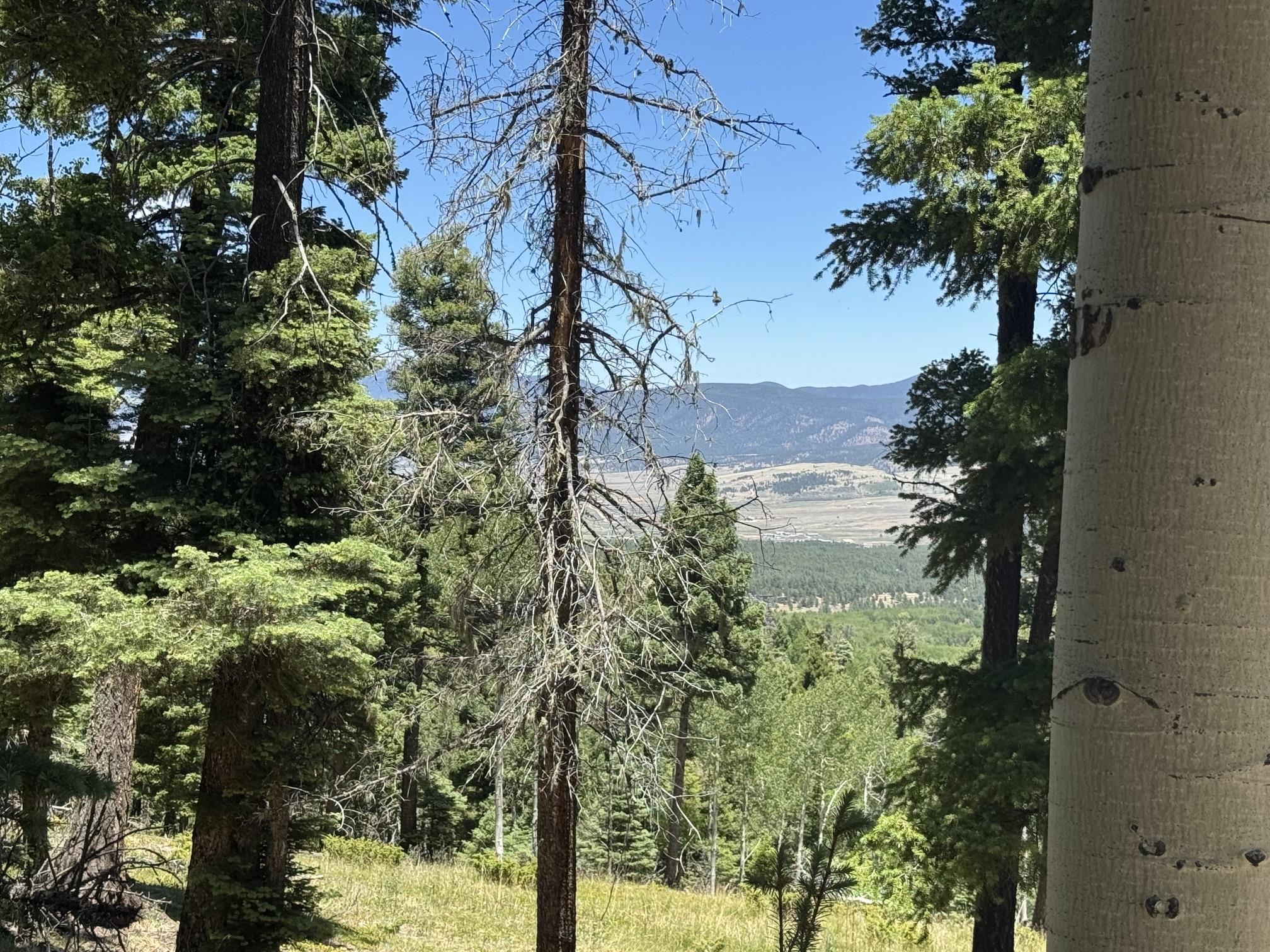Lot 106 Zia Road Angel Fire, NM 87710 - Photo 20 of 23 Gallery Image 20