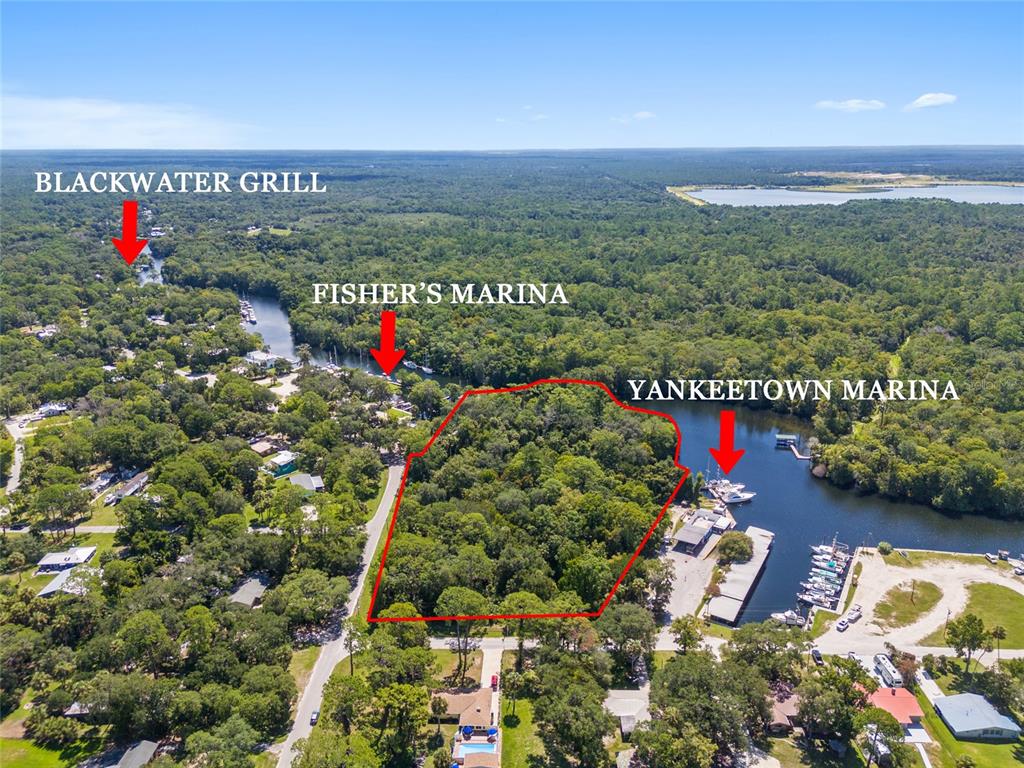 0 Hickory Avenue Yankeetown, FL 34498 - Photo 1 of 42 an aerial view of beach