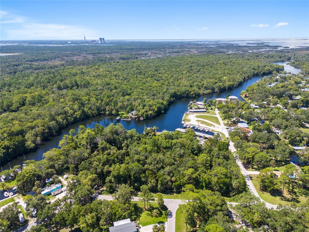 0 Hickory Avenue Yankeetown, FL 34498 - Photo 13 of 42 a view of a lush green forest with lots of trees