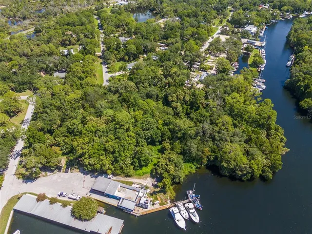 a view of a pathway both side of yard