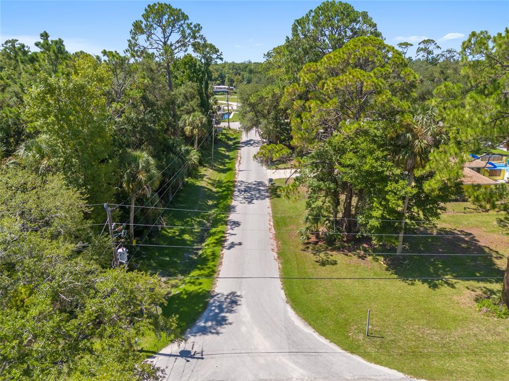 0 Hickory Avenue Yankeetown, FL 34498 - Photo 20 of 42 a view of a pathway both side of yard