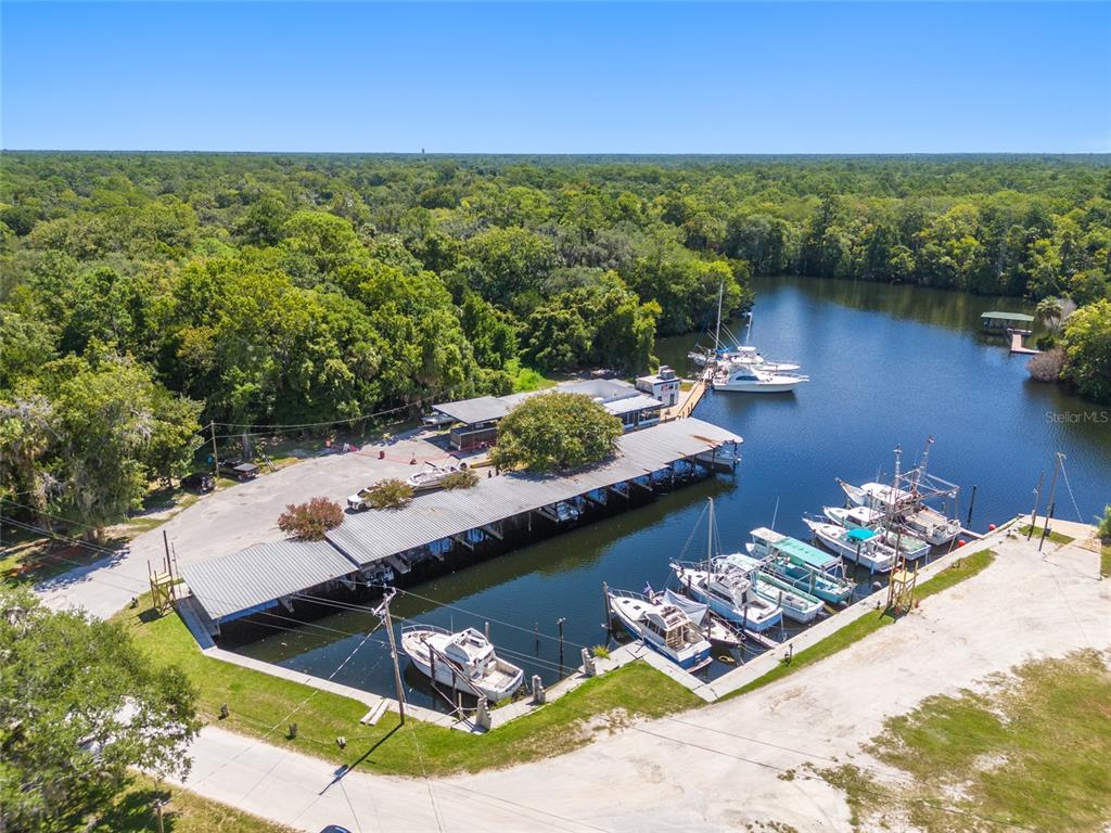 0 Hickory Avenue Yankeetown, FL 34498 - Photo 23 of 42 a view of swimming pool with lounge chair