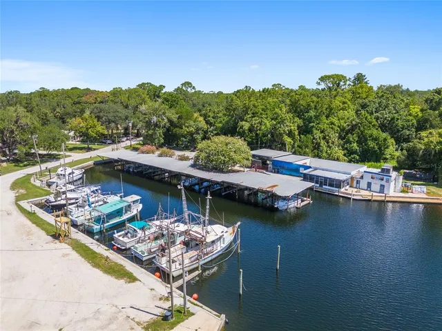an aerial view of lake and residential houses with outdoor space