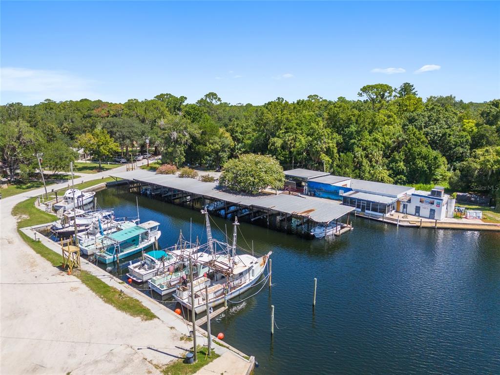 0 Hickory Avenue Yankeetown, FL 34498 - Photo 24 of 42 a view of a swimming pool with a yard