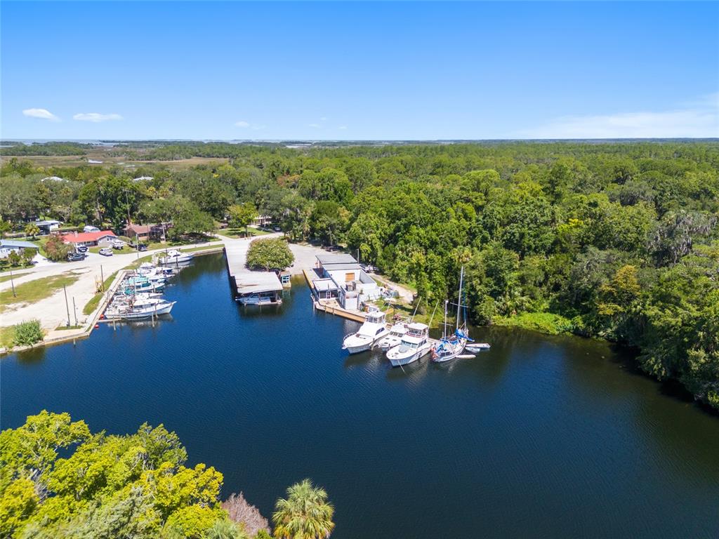 0 Hickory Avenue Yankeetown, FL 34498 - Photo 25 of 42