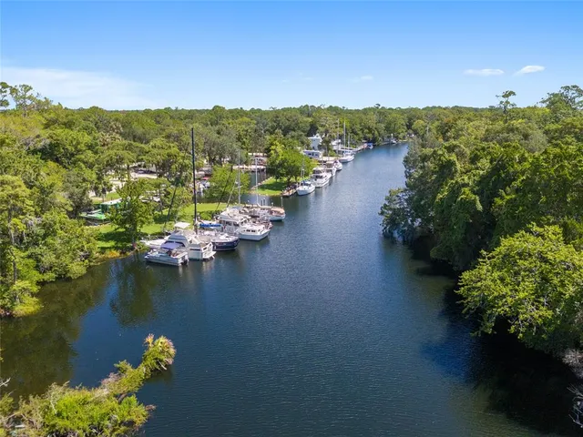 a view of a park with iron fence