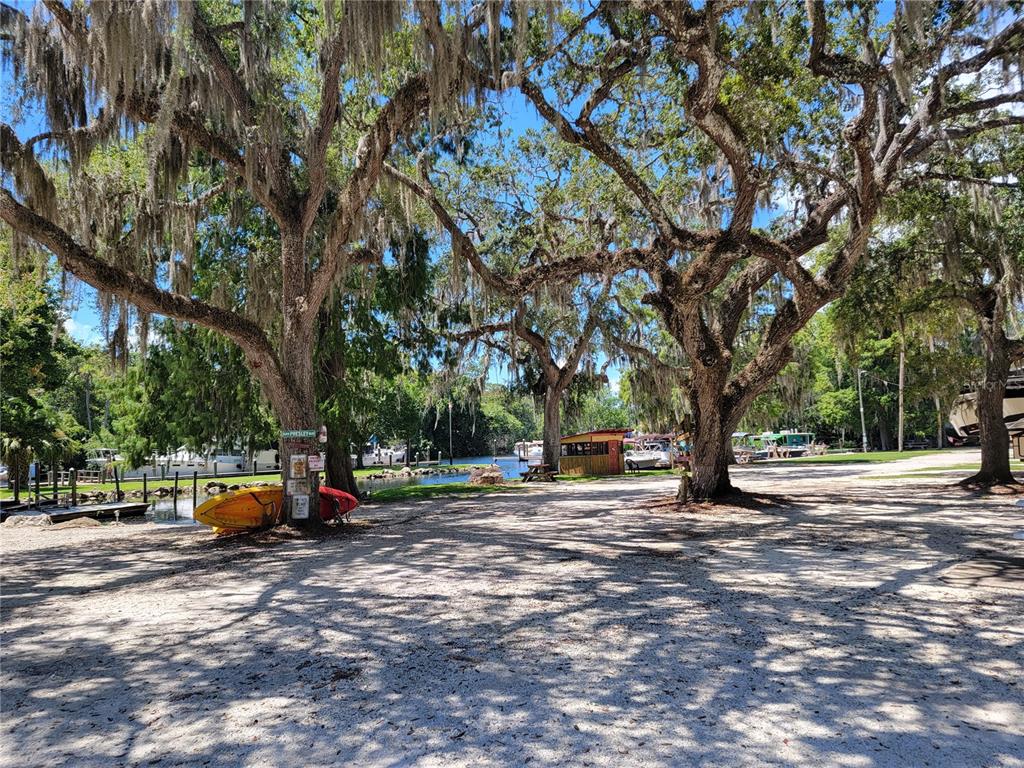 0 Hickory Avenue Yankeetown, FL 34498 - Photo 38 of 42