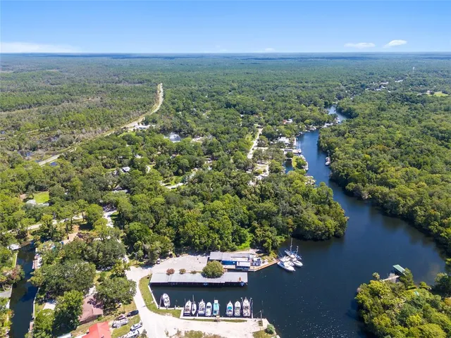 a view of a city from a yard