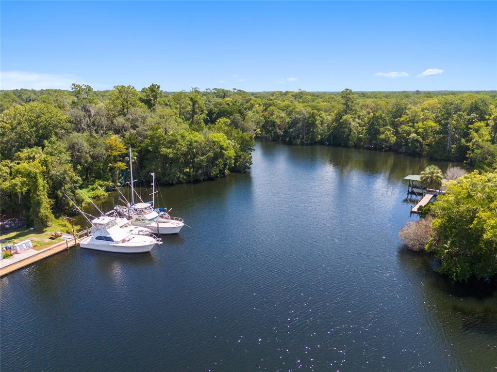 0 Hickory Avenue Yankeetown, FL 34498 - Photo 5 of 42 a view of a lake with a mountain