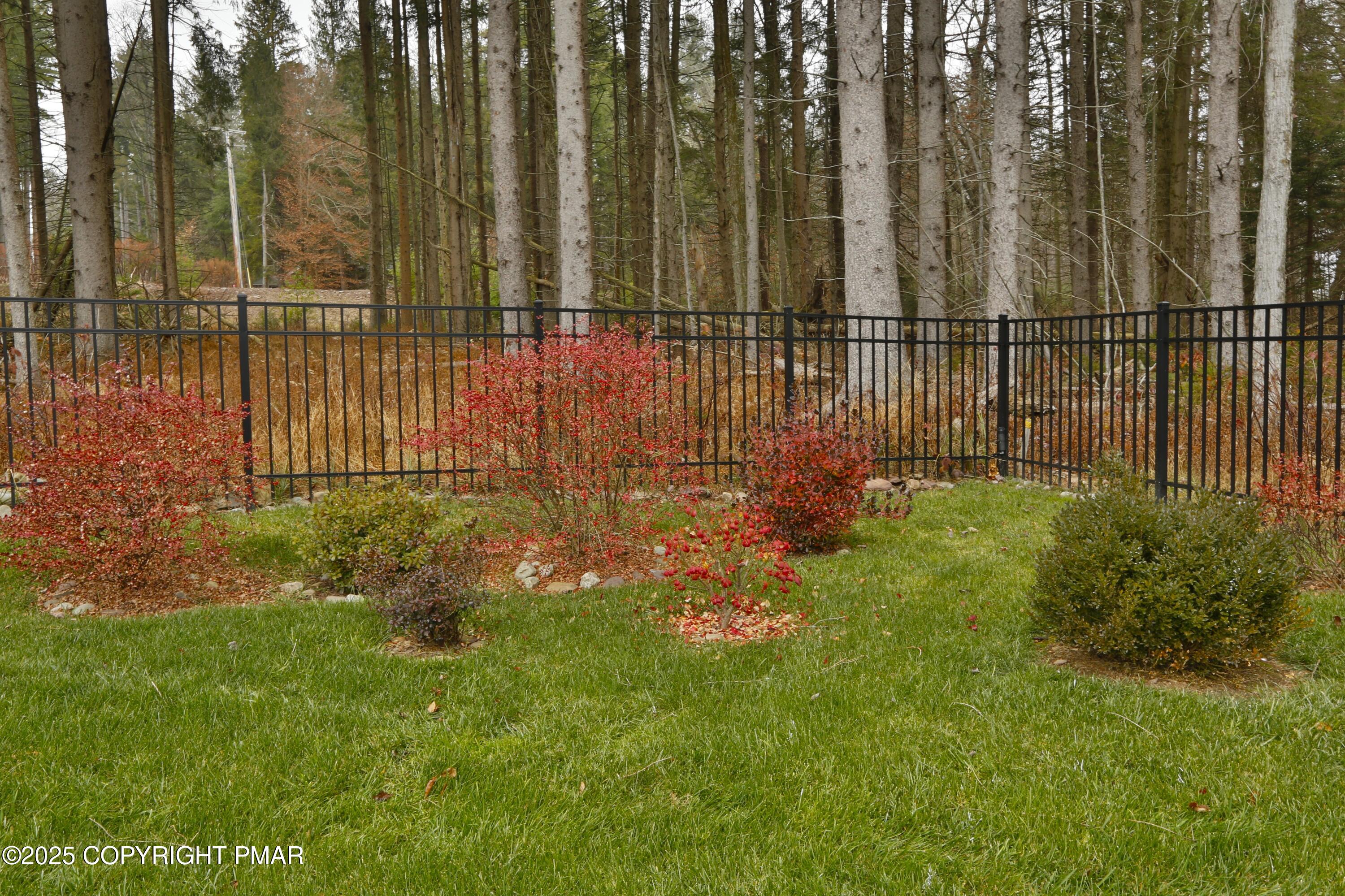 142 Lexington Lane Blakeslee, PA 18610 - Photo 10 of 69 Wrought Iron Fencing - Yard