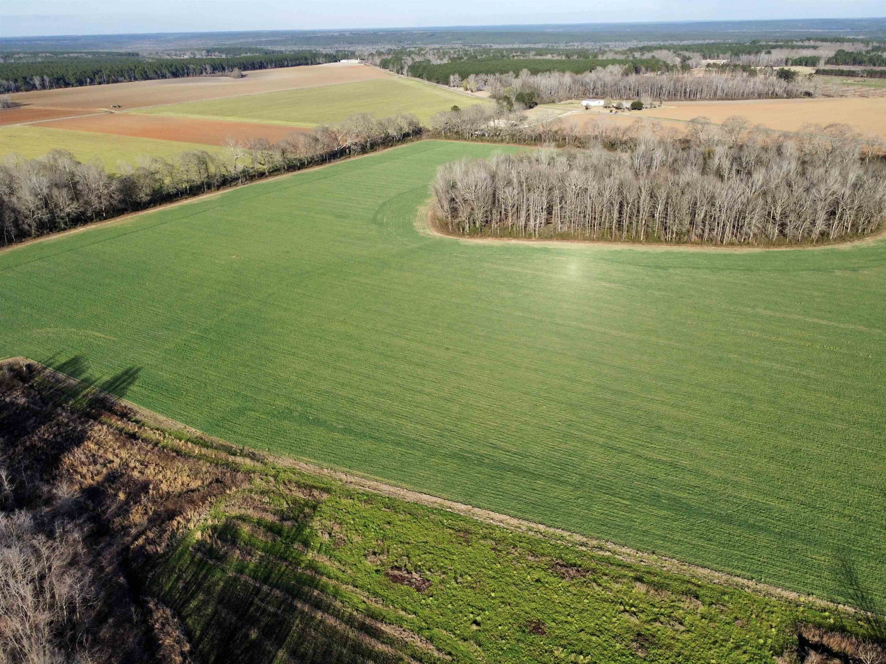 0 Country Road Atmore, AL 36502 - Photo 19 of 27
