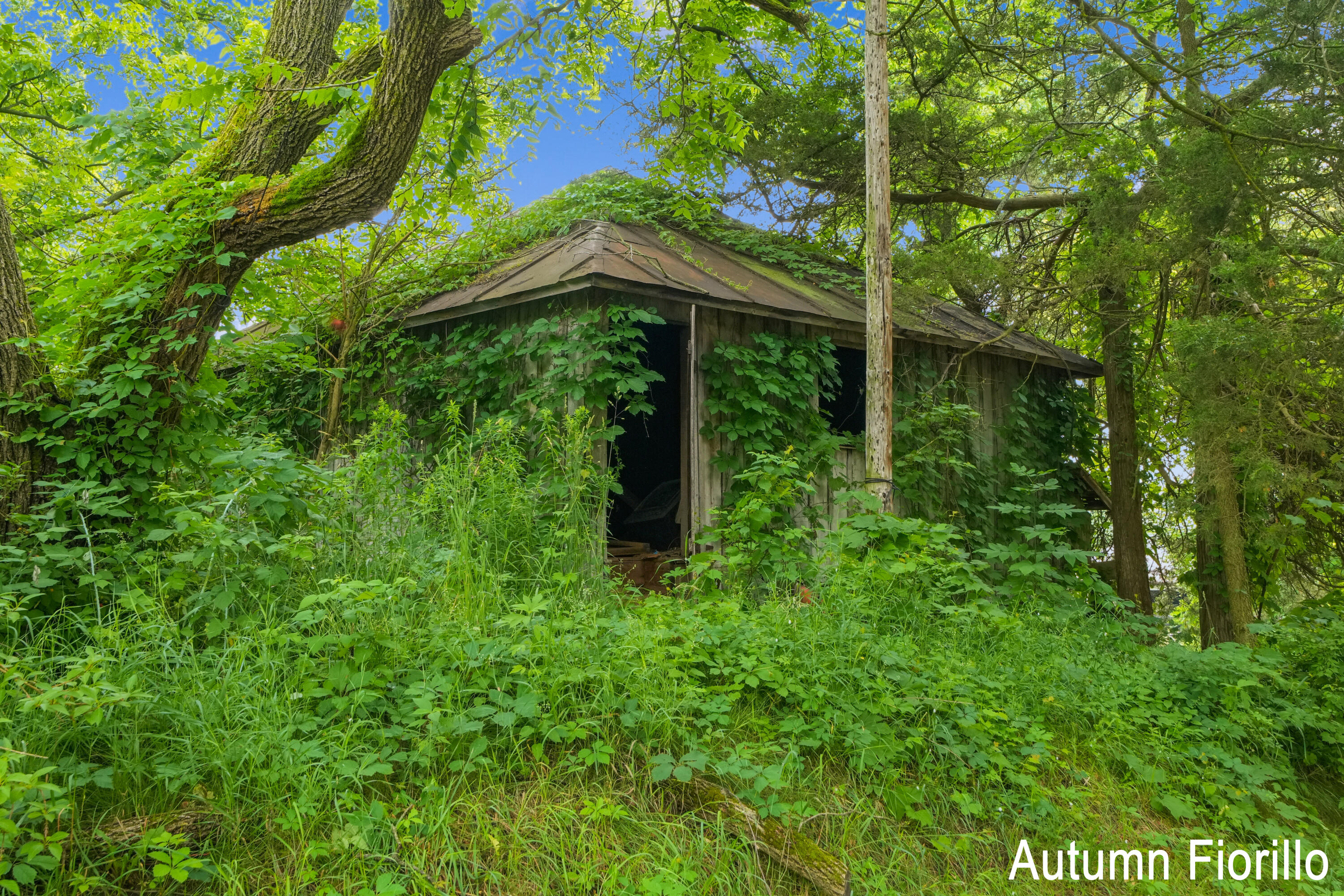 602 Kaiser Road Hastings, MI 49058 - Photo 14 of 16 DSC02842