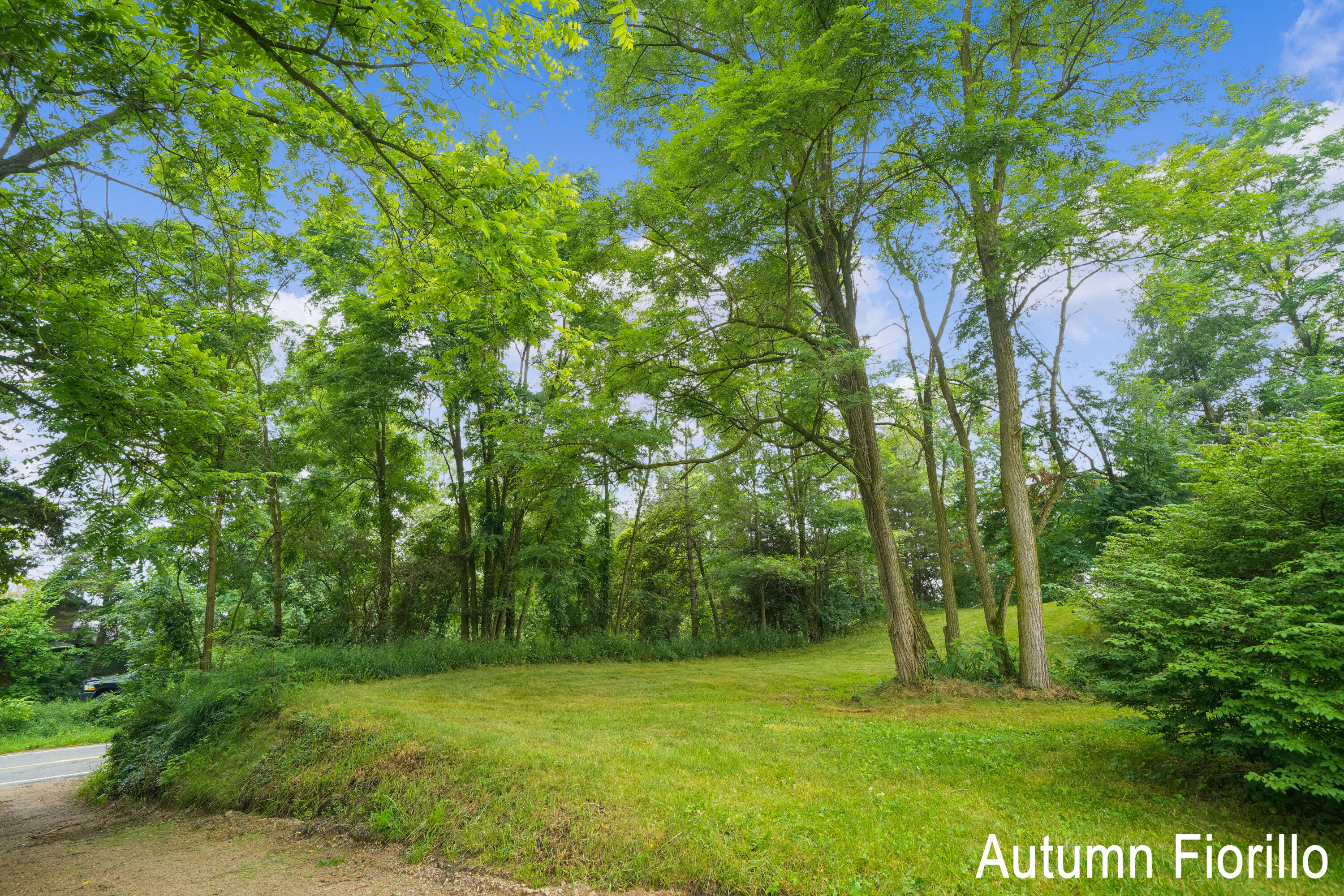 602 Kaiser Road Hastings, MI 49058 - Photo 15 of 16 DSC02843