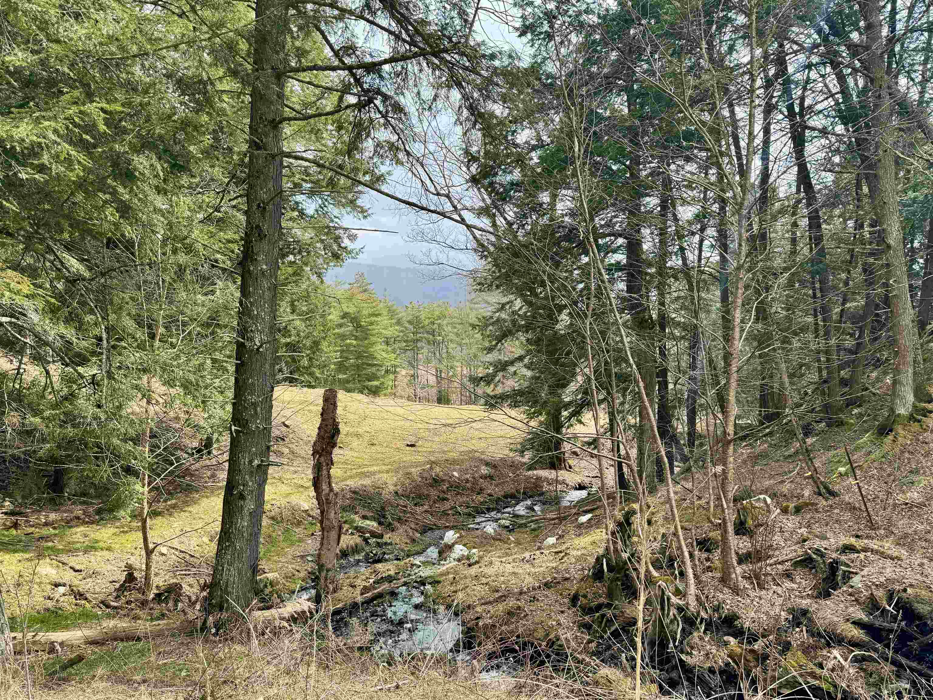 299 Brackett Road Fairlee, VT 05045 - Photo 17 of 28