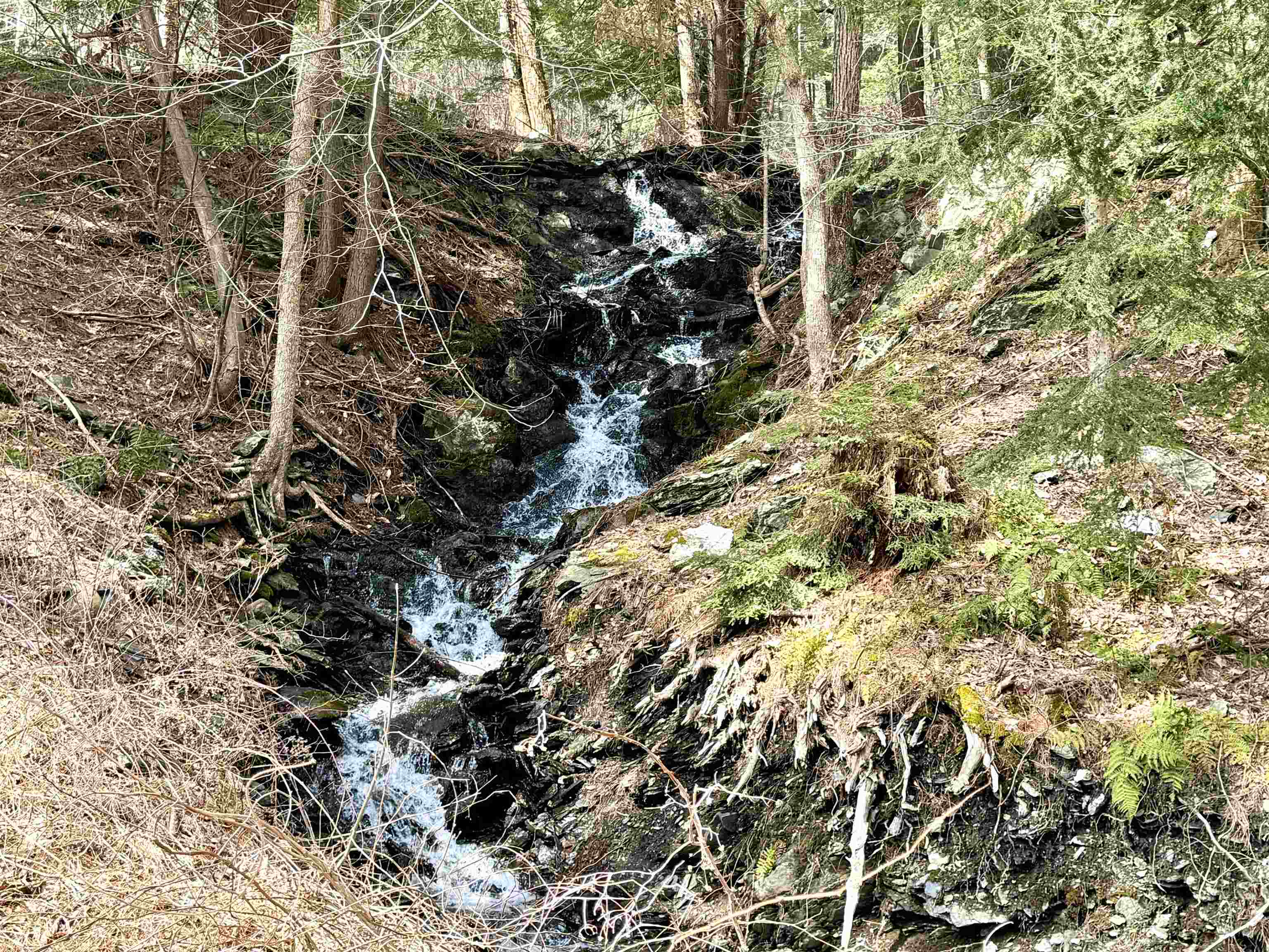 299 Brackett Road Fairlee, VT 05045 - Photo 18 of 28