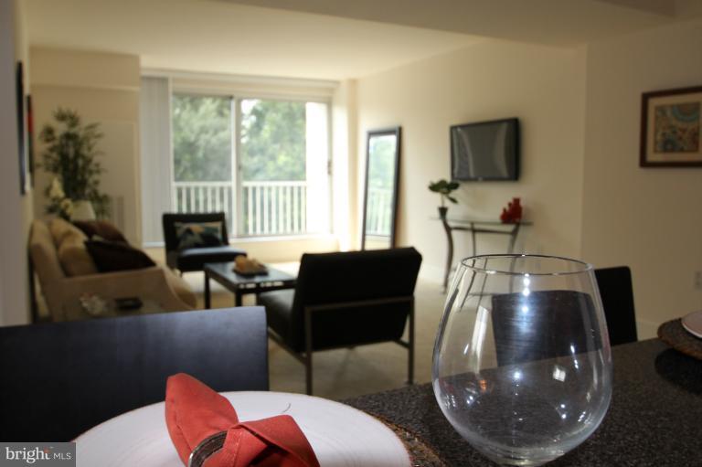800 4th Street Southwest, Unit N502 Washington, DC 20024 - Photo 13 of 13 Interior (General)