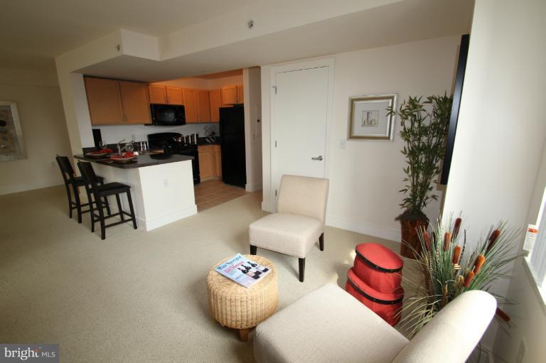 800 4th Street Southwest, Unit N502 Washington, DC 20024 - Photo 4 of 13 Den and Gourmet Kitchen