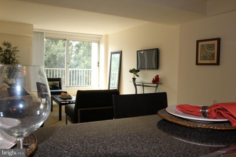 800 4th Street Southwest, Unit N502 Washington, DC 20024 - Photo 7 of 13 Interior (General)