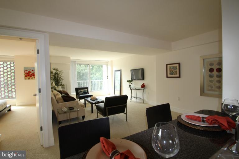 800 4th Street Southwest, Unit N502 Washington, DC 20024 - Photo 8 of 13 Interior (General)