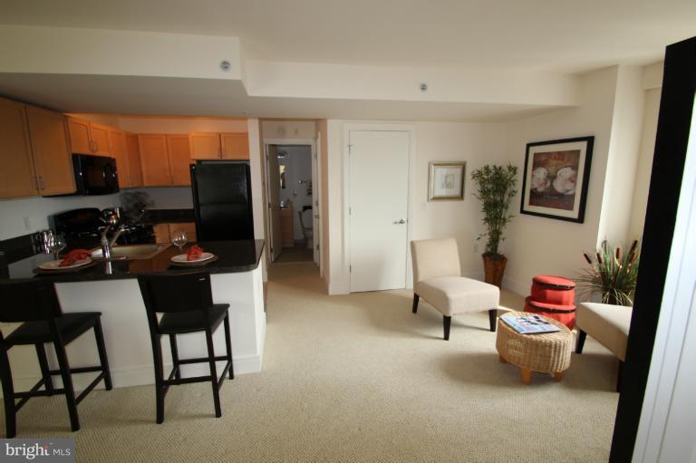 800 4th Street Southwest, Unit N502 Washington, DC 20024 - Photo 9 of 13 Den and Gourmet Kitchen