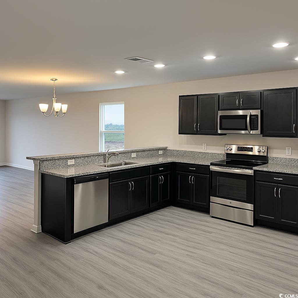 217 Kc Lane Aynor, SC 29511 - Photo 13 of 14 Unfurnished bedroom featuring lofted ceiling, dark wood-style flooring, a spacious closet, and ceiling fan
