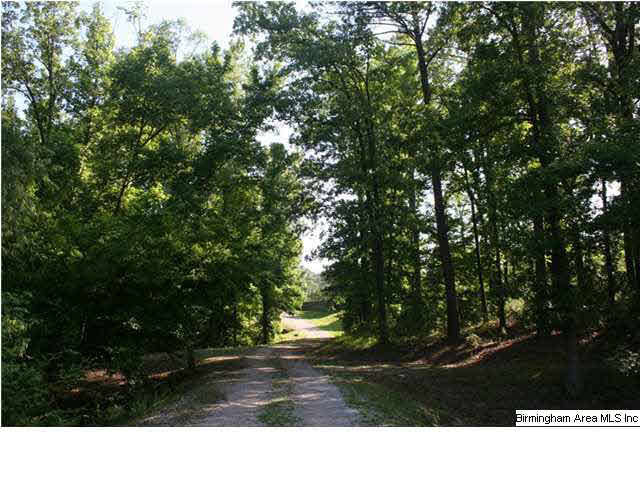 777 Carl Raines Lake Road Birmingham, AL 35244 - Photo 23 of 32