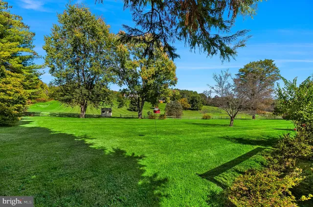 a view of yard with green space