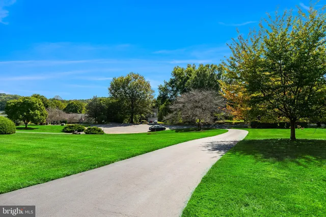 a view of a park with large trees