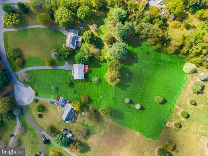 a view of a garden with plants