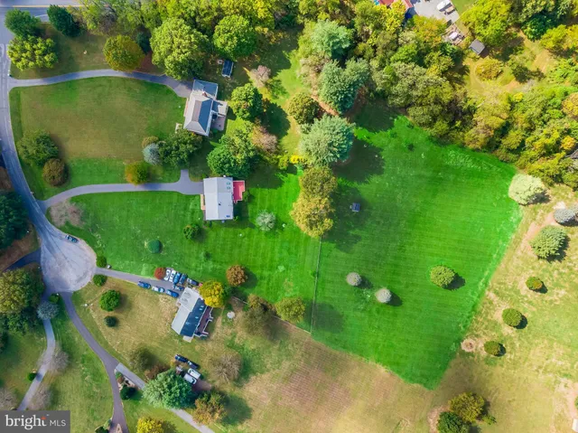 a view of a garden with plants