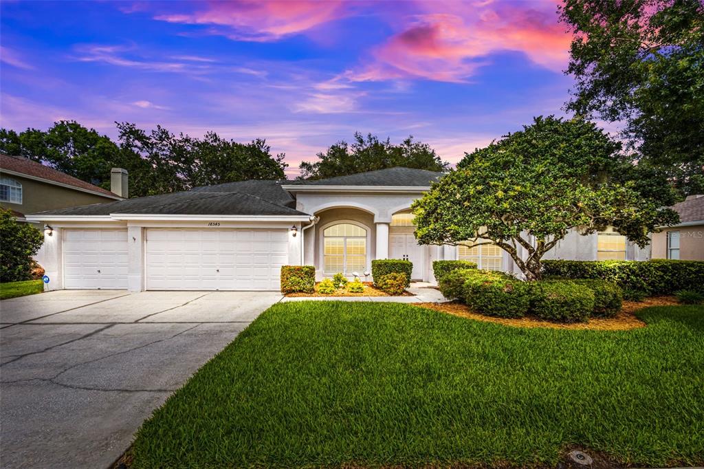 18545 Bittern Avenue Lutz, FL 33558 - Photo 1 of 1 a front view of a house with a yard and trees