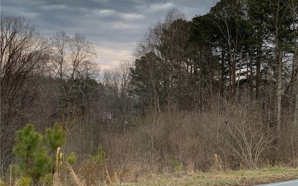 2 Roscoe Collett Road Ball Ground, GA 30107 - Photo 1 of 1 Main View