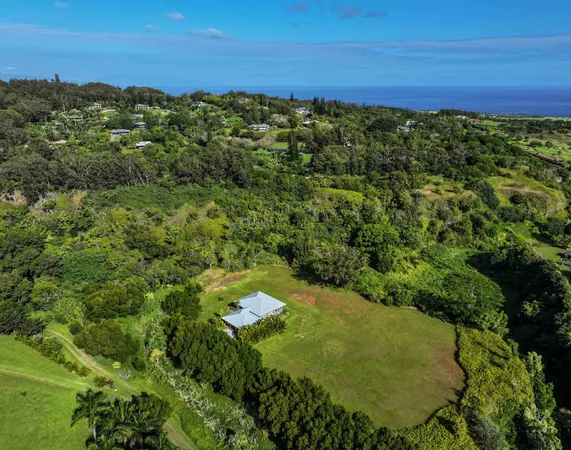 a view of a field with an ocean
