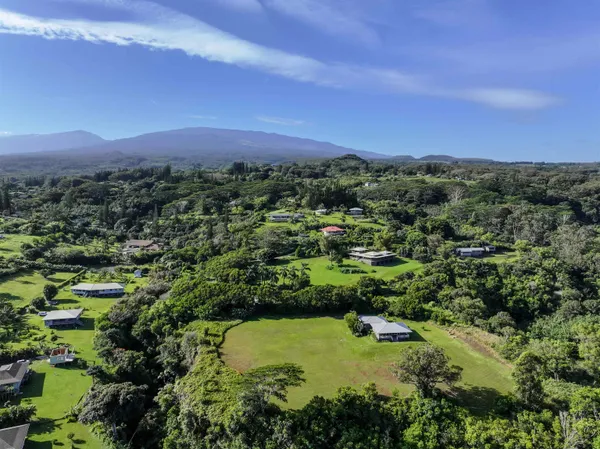 a view of a lush green forest with a houses