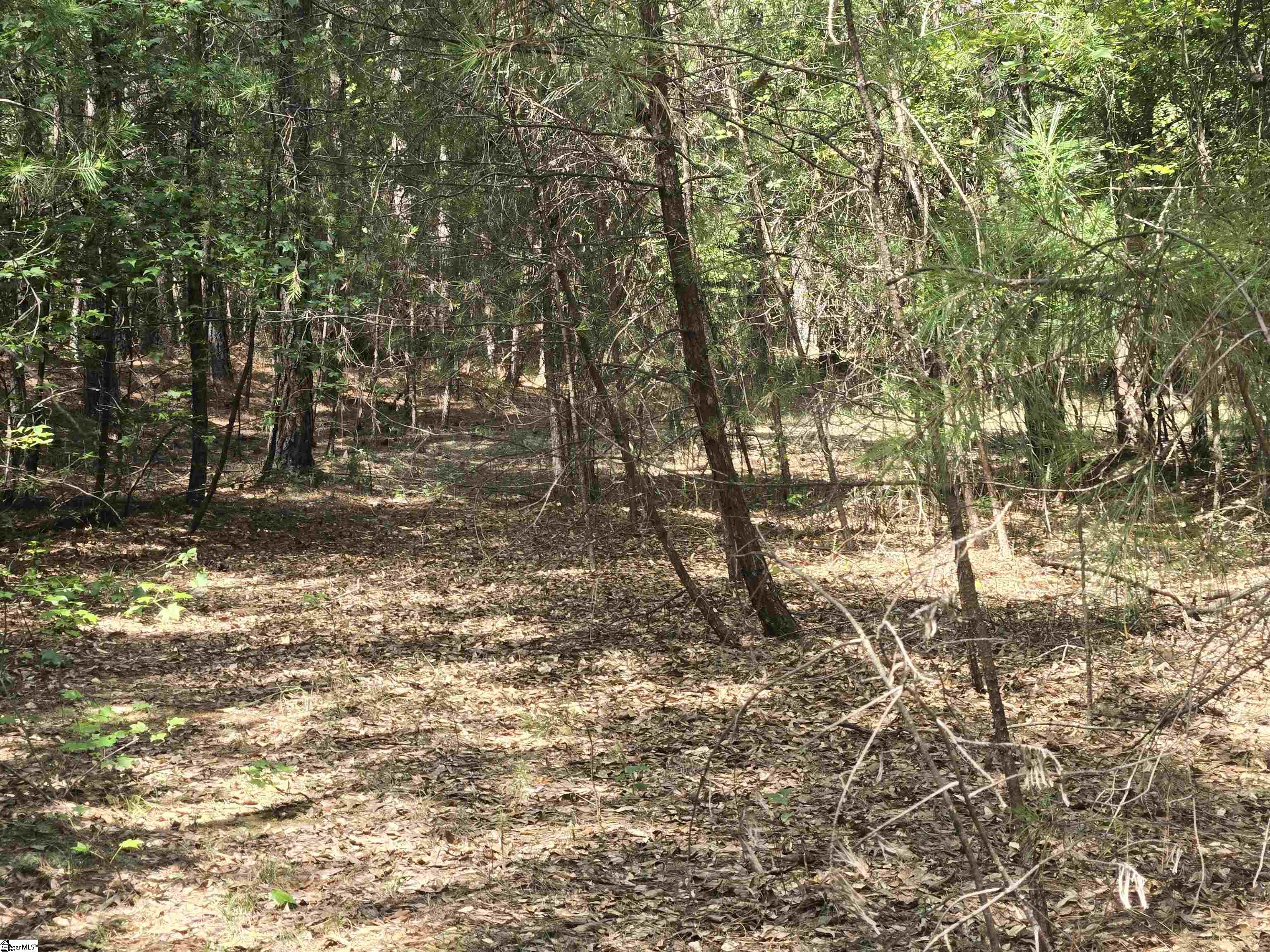 0 Gunter Road Piedmont, SC 29673 - Photo 4 of 9