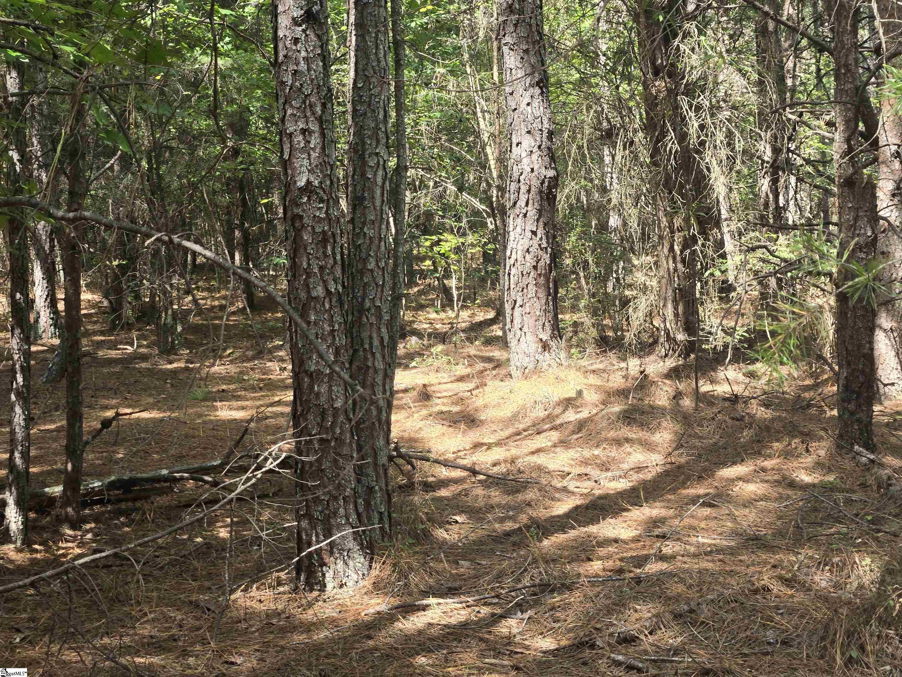 0 Gunter Road Piedmont, SC 29673 - Photo 5 of 9