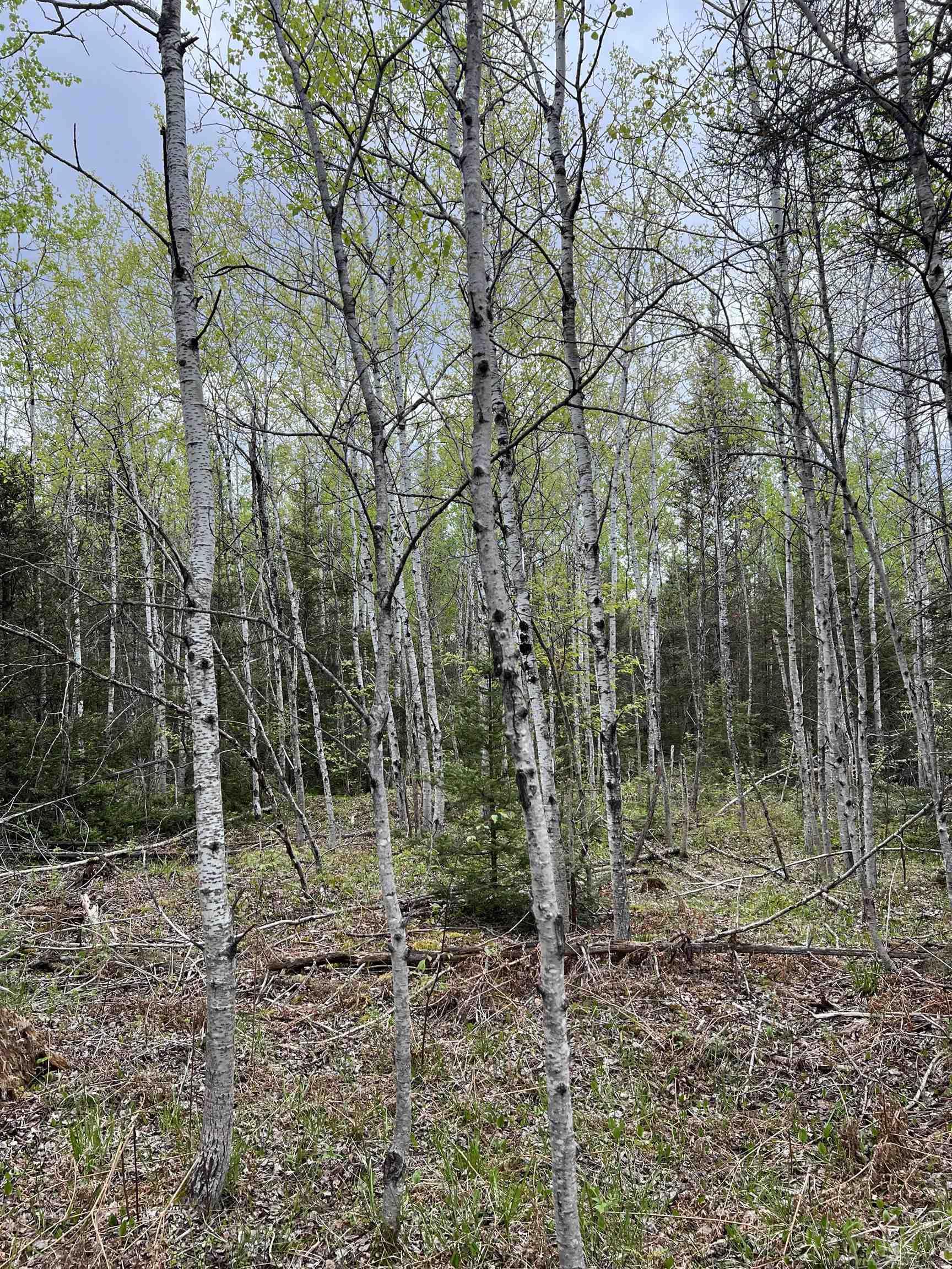 0 County Road Ishpeming, MI 49849 - Photo 14 of 85